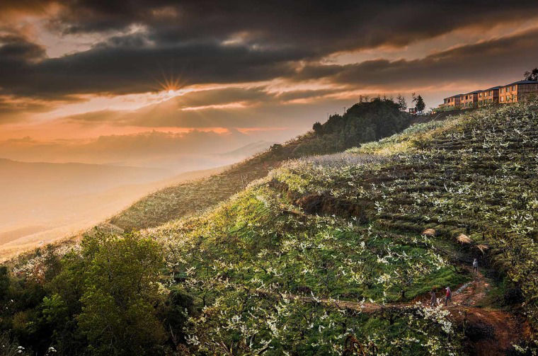 Mountain landscape