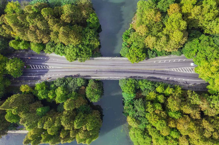 Aerial view of bridge