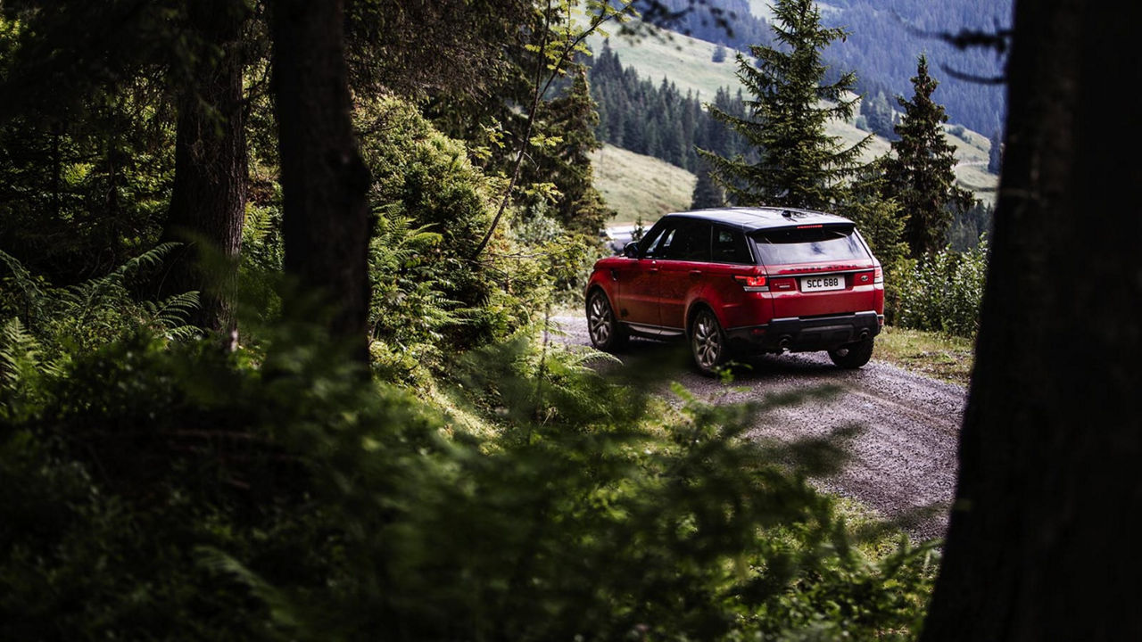 Range Rover in red forest landscape back view