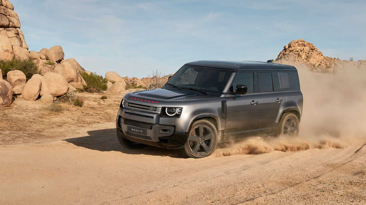 Defender in Desert
