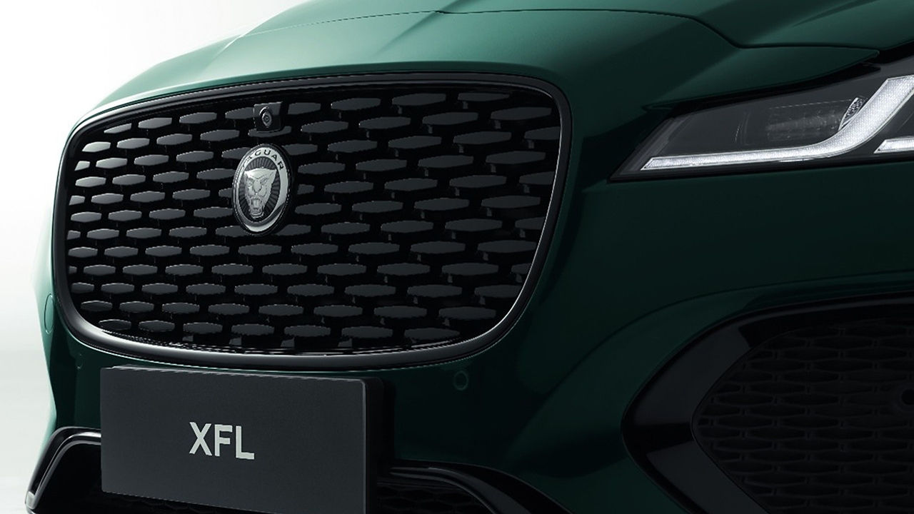 XFL Number Plate