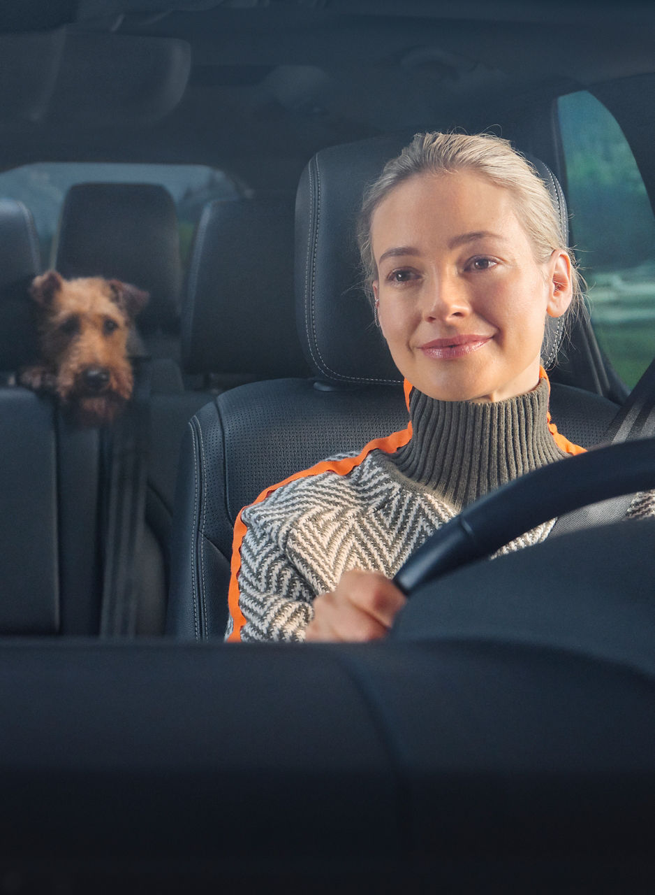 Discovery driver with a dog in the backseat