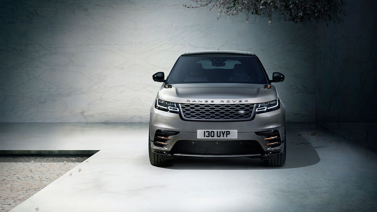 Frontal View Representation Of Velar 