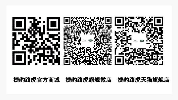 QR Codes