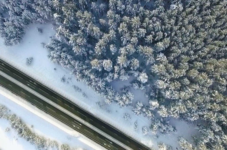 Aerial view of forest road
