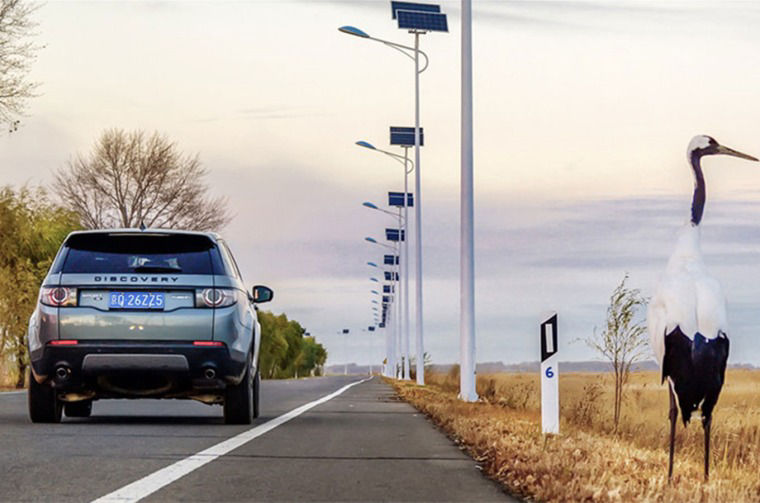 Land Rover Discovery driving on road