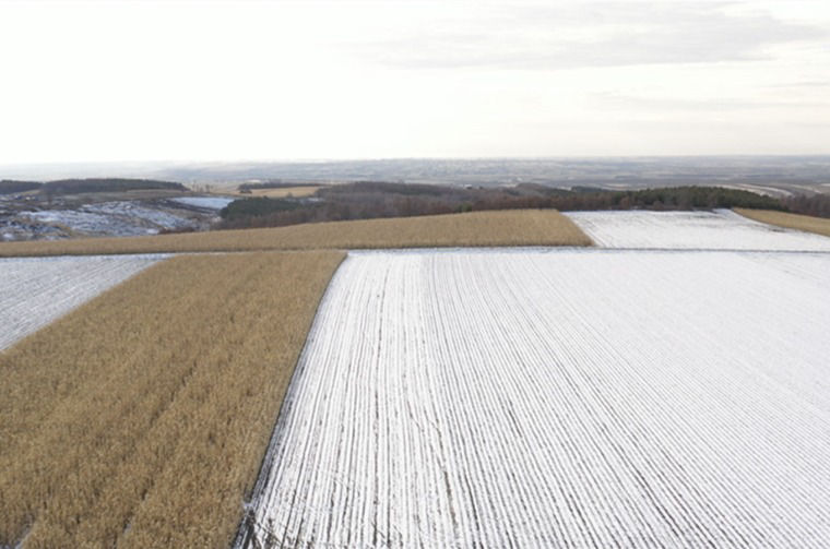Landscape of fields