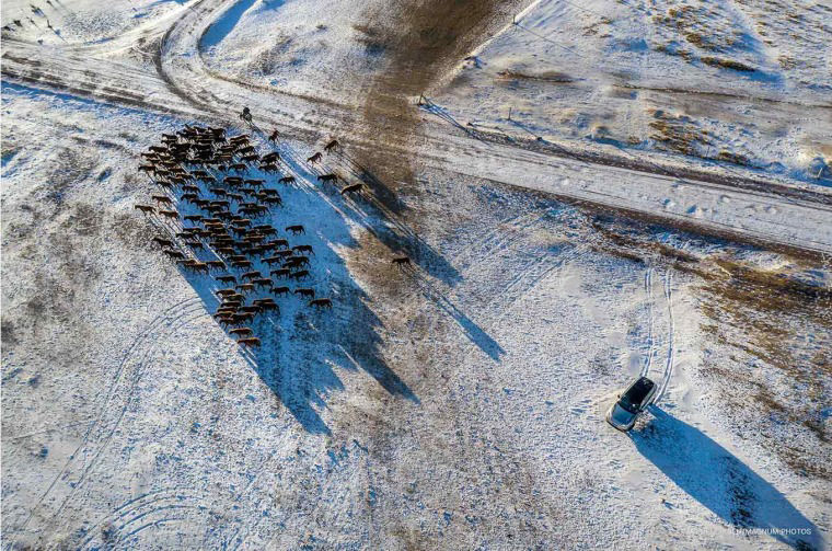 Photo by Jonas Bendixon, Qilian Mountains, China