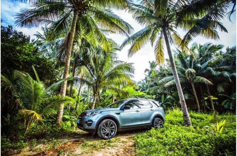 Land Rover Discovery parked between palm trees