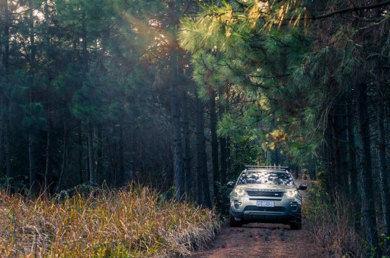 Land Rover Discovery driving through forest