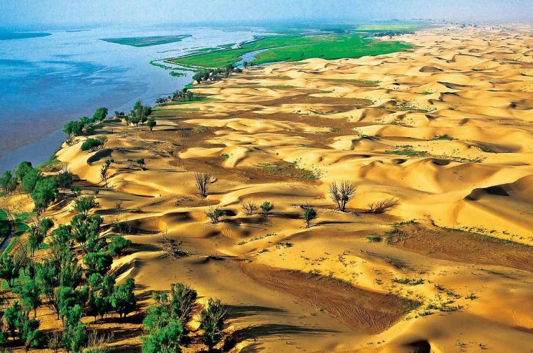 Desert landscape
