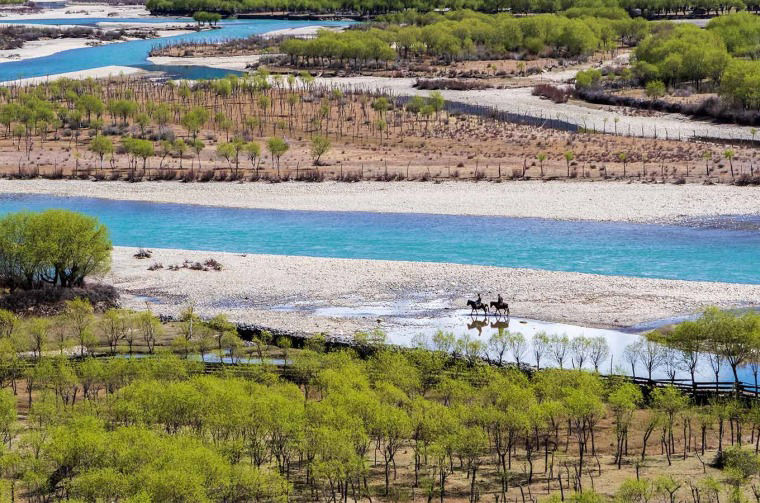 River Landscape