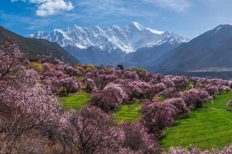 Mountain landscape