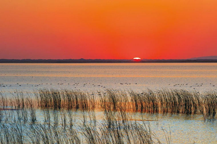 Lake at sunset landscape