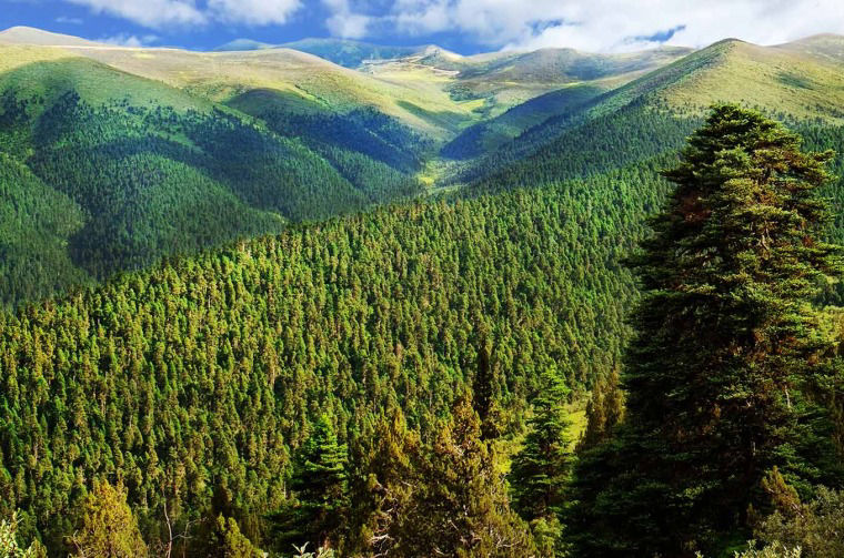 Mountain landscape