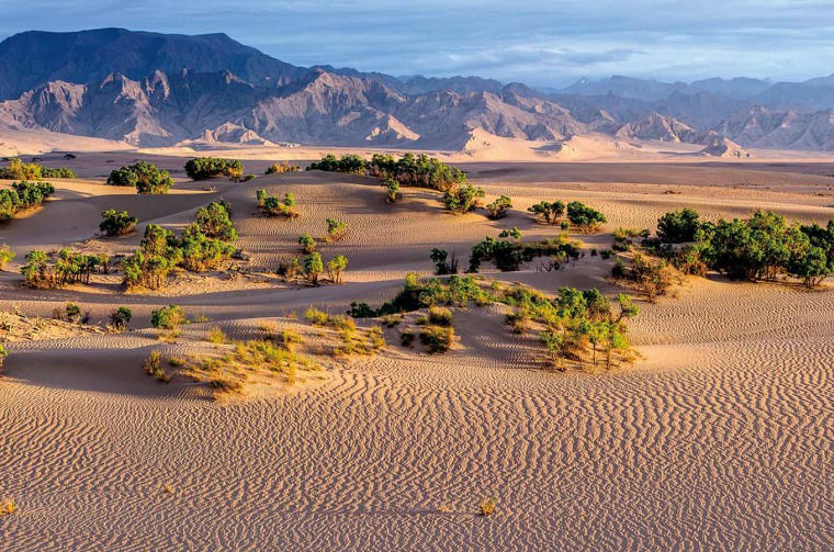 Desert landscape
