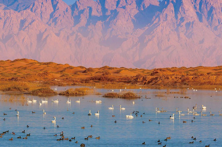 Mountain lake landscape