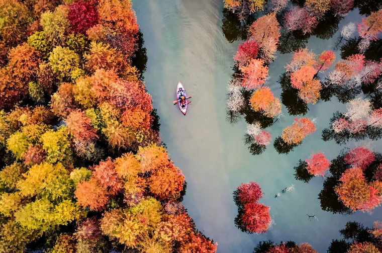 Aerial view of boat on river