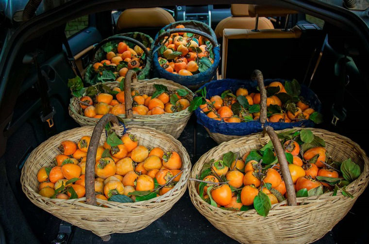 Baskets of persimmons