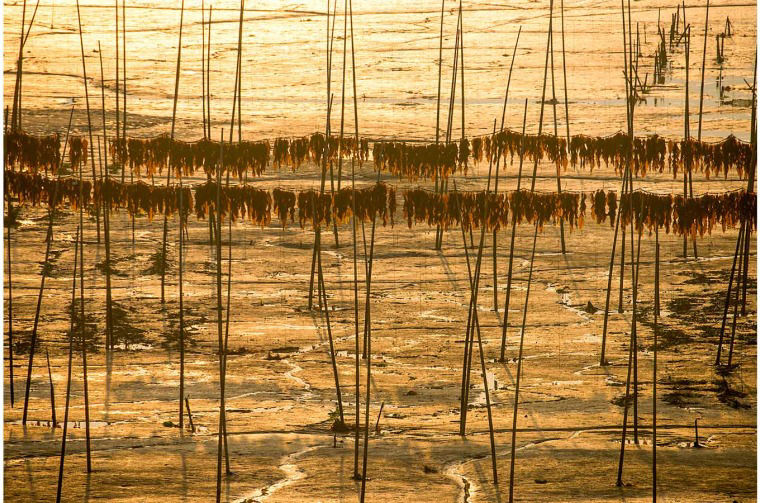 Beach and drying racks