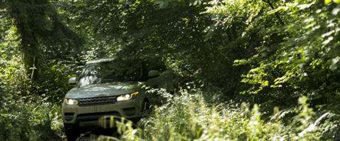 Land Rover vehicle driving through forest