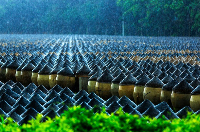 Rows of covered pots