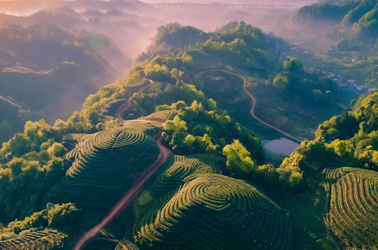 Aerial view of mountain landscape