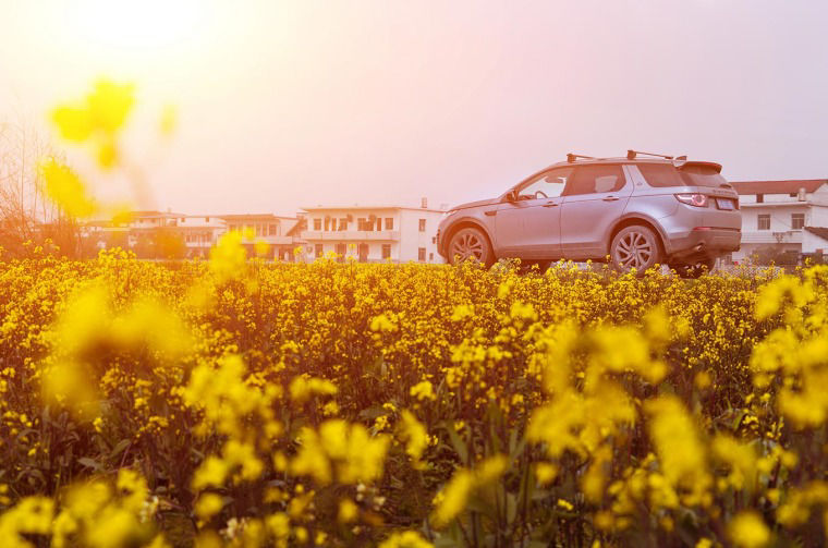 Land Rover Discovery in field