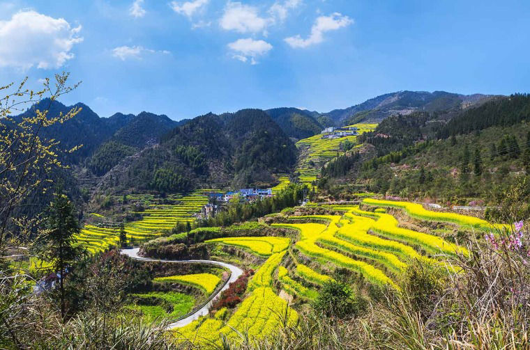 Landscape with terraced fields