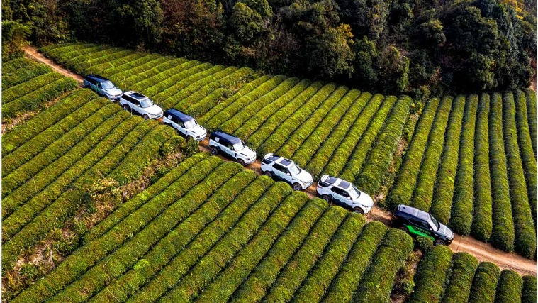 Aerial view of Land Rover vehicles driving on dirt road
