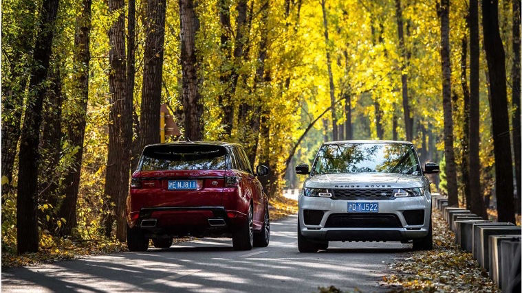 Range Rover vehicles driving on forest road