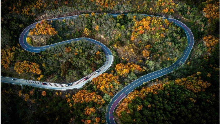 Aerial view of winding road