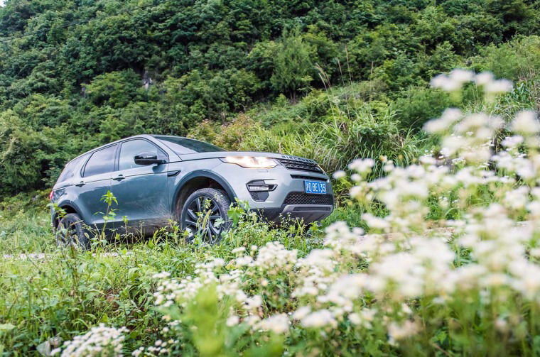 Land Rover Discovery parked in forest